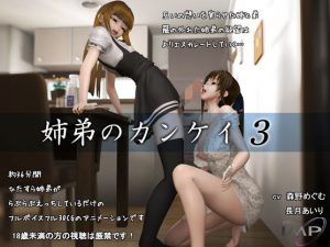 Perception Kei 3 of the Brother / 姉弟のカンケイ3