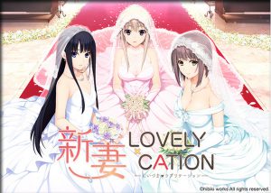 Niizuma Lovely x Cation