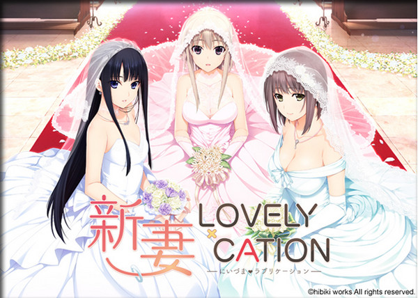 Niizuma Lovely x Cation