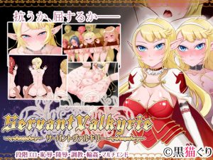 ServantValkyrie