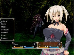 Holy Knight Luviria